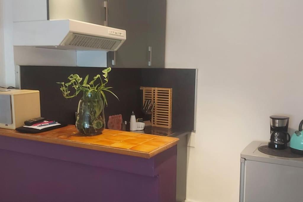 Lumineux Appartement *