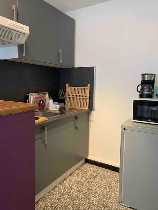Apartment Lumineux Strasbourg