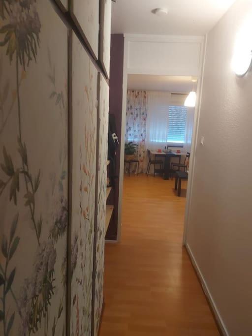 Lumineux Appartement